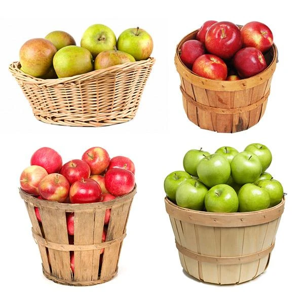 4-in-1 Apple Tree 3 4-in-1 Apple Tree