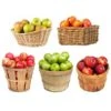 5-in-1 Apple Tree -Nature Grove Shop 5 in 1 Apple 600x600 7aa95aa9 ebc1 4f49 a1e8 94e9b1d7155c
