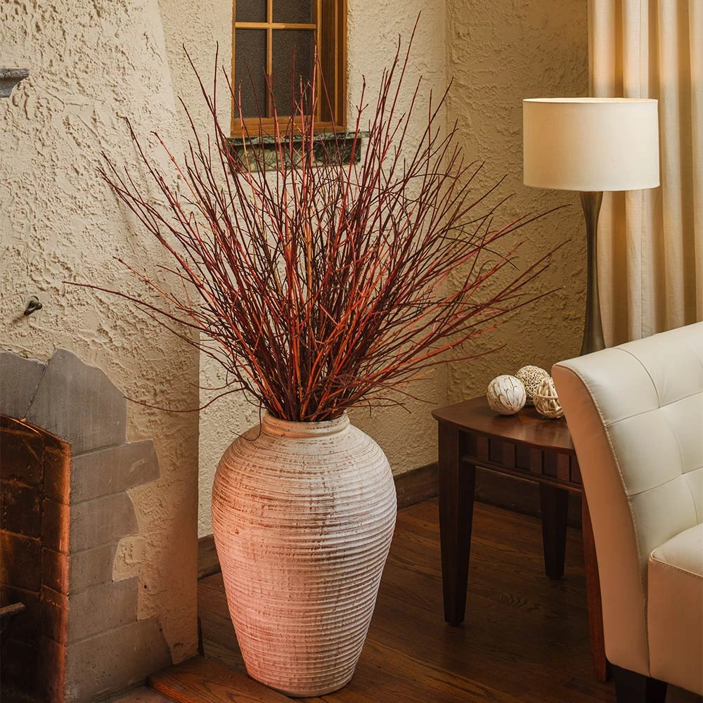 Arctic Fire® Red Twig Dogwood 7 Arctic Fire® Red Twig Dogwood - Image 5