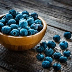 Aurora Blueberry Bush 12 Aurora Blueberry Bush -Nature Grove Shop Aurora Blueberry 4