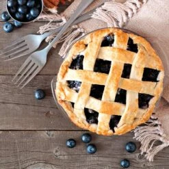 Aurora Blueberry Bush - USDA Organic 14 Aurora Blueberry Bush - USDA Organic -Nature Grove Shop Aurora Blueberry 5 112457a4 3811 4866 87c8 269c657283bf