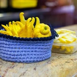 Buddha's Hand Citron Tree -Nature Grove Shop BUddhas Hand Citrus 6 FGT 8e440ac0 ef1a 452e 8576 5c1e7bf4eb5a