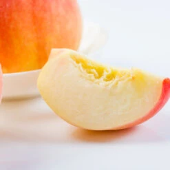 Belle Of Georgia Peach Tree -Nature Grove Shop Belle of Georgia 3 ea75db8c 1c8e 47c4 9aac 3f7fe043655e