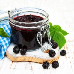 Big Daddy Blackberry Bush -Nature Grove Shop Big Daddy Blackberry 3