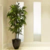 Black Bamboo 1 Black Bamboo -Nature Grove Shop Black Bamboo FGT 600x600 04de0fc5 1b5b 4ead b329 04b366290ad6