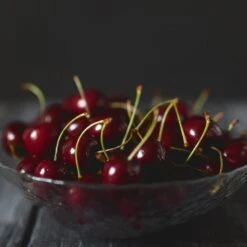 Black Tartarian Cherry Tree -Nature Grove Shop Black Tartarian Cherry Tree 2 FGT