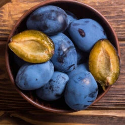 Brooks Plum Tree -Nature Grove Shop Brooks Plum 2