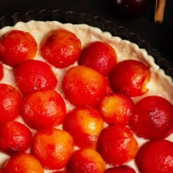 Bubblegum 'Toka' Plum Tree 11 Bubblegum 'Toka' Plum Tree -Nature Grove Shop Bubblegum Toka Plum 3