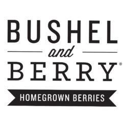 Bushel And Berry® Peach Sorbet™ Blueberry Bush 15 Bushel And Berry® Peach Sorbet™ Blueberry Bush -Nature Grove Shop Bushel Berry Logo 1000x1000 5523bd77 3d3b 4829 bad1 1529836d5288