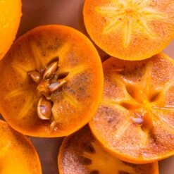 Chocolate Persimmon Tree 7 Chocolate Persimmon Tree -Nature Grove Shop CHocolate Persimmon 2