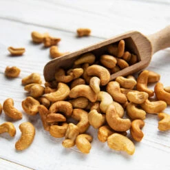 Cashew Tree -Nature Grove Shop Cashew Nut Tree 5