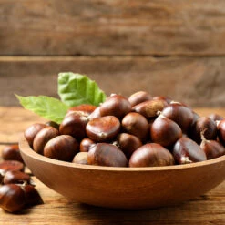 Chinese Chestnut Tree -Nature Grove Shop Chinese Chestnut 3 FGT