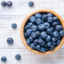 Climax Blueberry - USDA Organic 13 Climax Blueberry - USDA Organic -Nature Grove Shop Climax Blueberry 4 6dff9fe5 d11c 4867 ac6f bf49cd37acb5