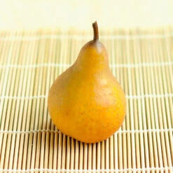 Comice Pear Tree -Nature Grove Shop Comice Pear 2 FGT bed8e3b3 6b31 43c6 9eb7 82aa992926bb