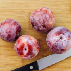 Dapple Dandy Pluot Tree -Nature Grove Shop Dapple Dandy 2