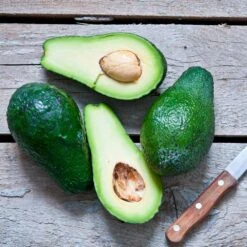 Condo™ Avocado Tree 12 Condo™ Avocado Tree -Nature Grove Shop Day Condo Avocado 5 FGT