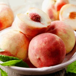 Early White Giant Peach Tree -Nature Grove Shop Early White Giant Peach Tree 450 D1