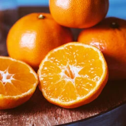 EasyPeel Clementine Tree -Nature Grove Shop Easy Peel Clementine 4 FGT