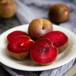 Elephant Heart Plum Tree -Nature Grove Shop Elephant Heart Plum 1