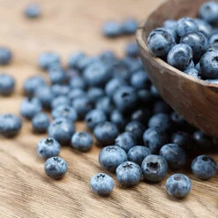 Emerald Blueberry Bush -Nature Grove Shop Emerald Blueberries 1