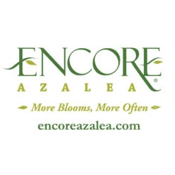 Autumn Debutante® Encore® Azalea 13 Autumn Debutante® Encore® Azalea -Nature Grove Shop Encore Logo 1000x1000 c29f00dd 100e 4ccb 98e4 22e187bc4aca