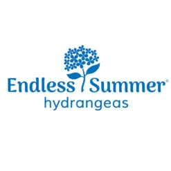 Endless Summer® Summer Crush® Hydrangea -Nature Grove Shop Endless Summer Hydrangeas 1000x1000 347a4889 45a5 42f4 94f1 e0220955e380