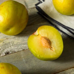 Flavor Queen Pluot® -Nature Grove Shop Flavor Queen Pluot 2
