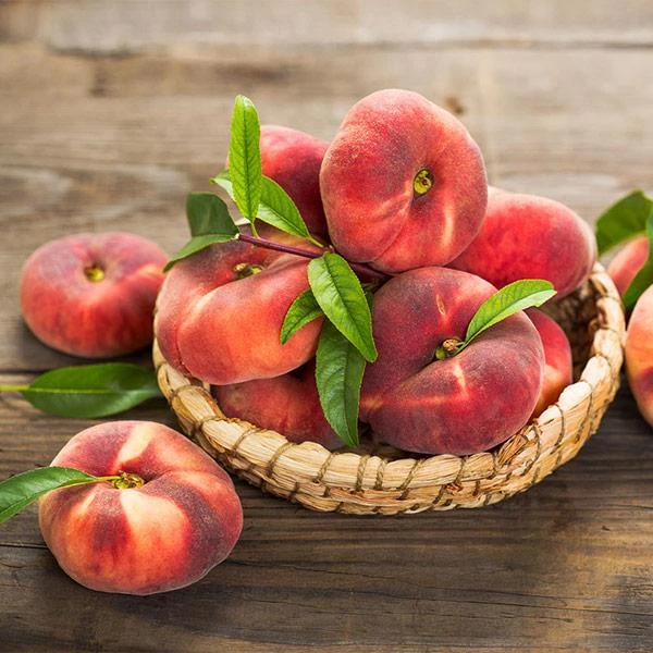 Galaxy Peach Tree 3 Galaxy Peach Tree