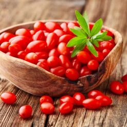 Goji Berry -Nature Grove Shop Goji Berry 4