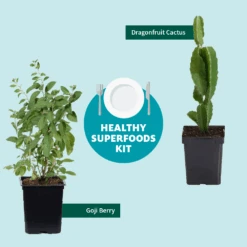 Goji Berry -Nature Grove Shop Healthy Superfoods Kit Graphic ceafb56f 8262 49e7 9792 ea28ea2e548e