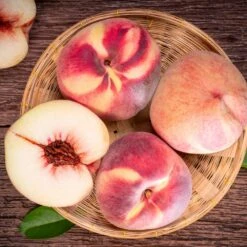 Indian Free White Peach Tree 9 Indian Free White Peach Tree -Nature Grove Shop Indian Free Peach 3 FGT