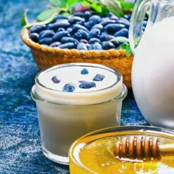 Indigo Gem Haskap (Honeyberry) 9 Indigo Gem Haskap (Honeyberry) -Nature Grove Shop Indigo GEm Haskap 1