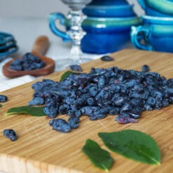 Indigo Treat Haskap (Honeyberry) -Nature Grove Shop Indigo Treat Hascap 2 BB
