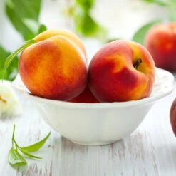 June Gold Peach Tree -Nature Grove Shop June Gold peaches 4