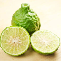 Kaffer 'Kieffer' Lime Tree 10 Kaffer 'Kieffer' Lime Tree -Nature Grove Shop Kaffir Lime 7 FGT