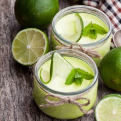 Key Lime Tree - USDA Organic -Nature Grove Shop Key Lime Tree 4 FGT 8c9c096a 80b3 4ead b08e 43cfbd23c3a2