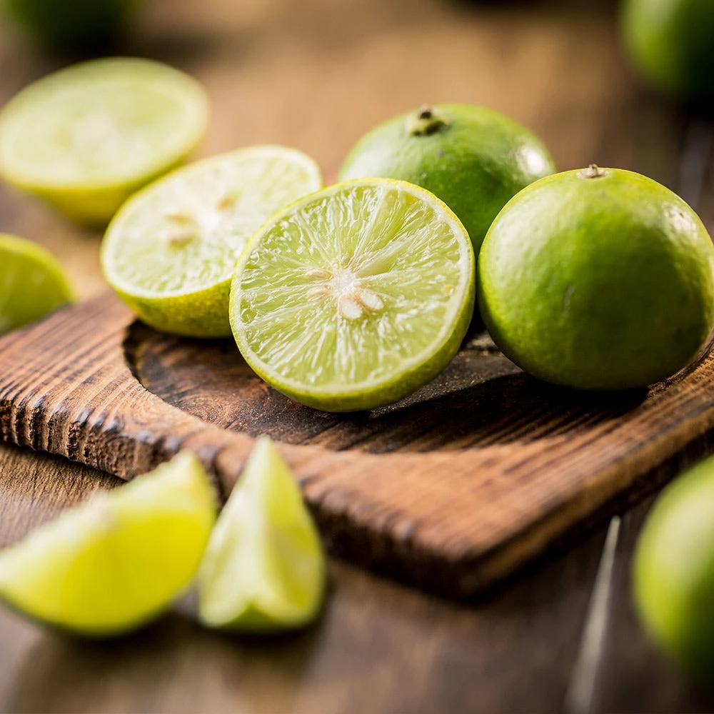 Key Lime Tree 6 Key Lime Tree - Image 4