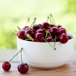 Lapins Cherry Tree 8 Lapins Cherry Tree -Nature Grove Shop Lapins Cherry Tree 2 FGT 325a18e6 7143 4729 a41b b0d9614909b8