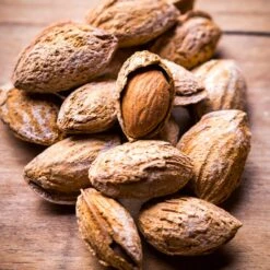 Nonpareil Almond Tree -Nature Grove Shop Nonpareil Almonds 3