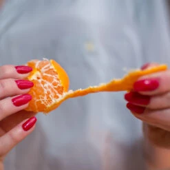 Nules Clementine Bush 8 Nules Clementine Bush -Nature Grove Shop Nules Clementine 3 FGT 8b9abee7 a321 49f5 98c0 01db9061b5ac