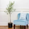 Oliana Olive Tree 2 Oliana Olive Tree -Nature Grove Shop Oliana Olive 600x600 6f3a3c9f e168 44ff aa92 eb7e474a89dc