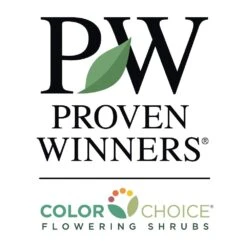 Sprinter® Boxwood Shrub 11 Sprinter® Boxwood Shrub -Nature Grove Shop PW Logo CC 1000x1000 c7e5005e 0826 4154 86ed def94c16a032