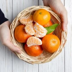 Page Mandarin Tree -Nature Grove Shop Page Mandarin Tree 2 FGT