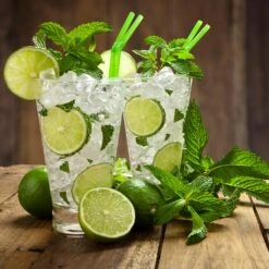 Persian 'Bearss' Lime Tree 13 Persian 'Bearss' Lime Tree -Nature Grove Shop Persian Lime Tree 4 FGT