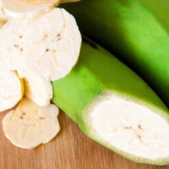 Puerto Rican Plantain Banana Tree 12 Puerto Rican Plantain Banana Tree -Nature Grove Shop Puerto Rican Plantain Banana Tree 3