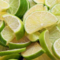 Persian 'Bearss' Lime Bush -Nature Grove Shop Pursian Lime Bush 1 FGT 8e948345 4f0b 4e96 a96f a17b7b31b7ab