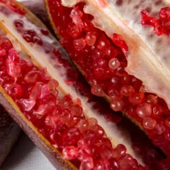 Red Finger Lime Tree -Nature Grove Shop Red FInger Lime 1 1453b836 c1a1 4844 92f1 11e49d09cc4d