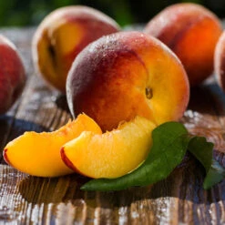 Red Baron Peach Tree 11 Red Baron Peach Tree -Nature Grove Shop Red Baron Peach 4