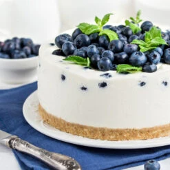 Sunshine Blue Blueberry Bush 9 Sunshine Blue Blueberry Bush -Nature Grove Shop SUnshine BLue Blueberry 4