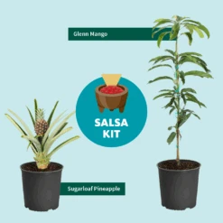 Salsa Kit -Nature Grove Shop SalsaKitGraphic